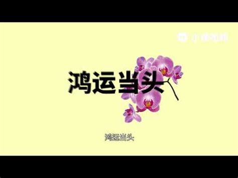 黃色蘭花花語|【黃色蘭花寓意】揭秘黃色蝴蝶蘭的花語寓意！你不可。